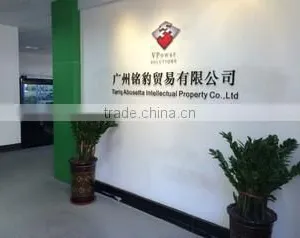 Guangzhou Vpower Trading Co., Ltd. company overview - view 1 thumbnail