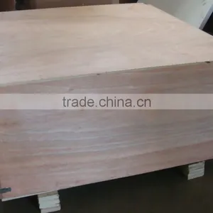 MP-2B Metallographic Specimeng Grinding Polishing Machine thumbnail-6