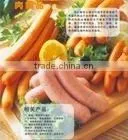 Soya Protein Concentrated CSP520 thumbnail-1