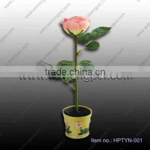 Solar Rose Light thumbnail-1