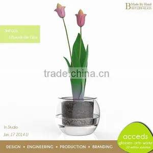 Clear Glass Hydroponic Pot thumbnail-3