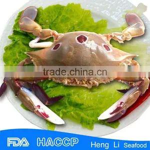 Frozen Whole Crab Seafood thumbnail-1