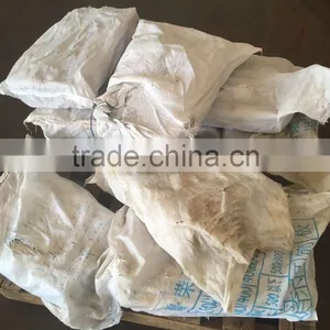 150-200g Illex Argentinus Squid Frozen Squid thumbnail-2