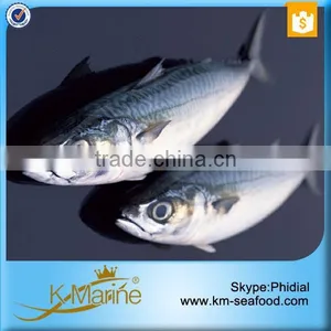 Top Quality Whole Frozen Mackerel For Sale thumbnail-4