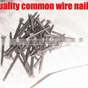 Common Wire Iron Nail for Africa Market thumbnail-6