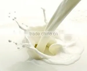 Milk Powder Replacer thumbnail-3