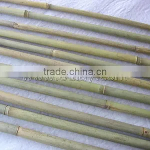 Nature Green Bamboo Poles thumbnail-1