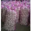 Normal White Fresh Garlic thumbnail-1