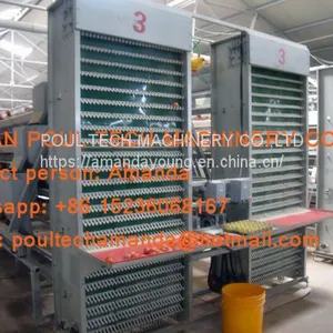 Chicken Farming A Type Battery Hen Chicken Cage & Laying Egg Chicken Coop With Automatic Chicken Cage for 120 Birds in Shed thumbnail-3