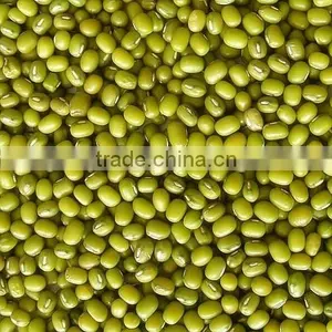 Organic Mung Bean thumbnail-1