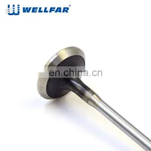 Wellfar OEM Manufacturer Engine Components For FIAT Idea 1.3 Intake and Exhaust Valve thumbnail-1