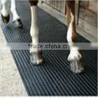 Equine Rubber Paver/Horse Rubber Floor thumbnail-1