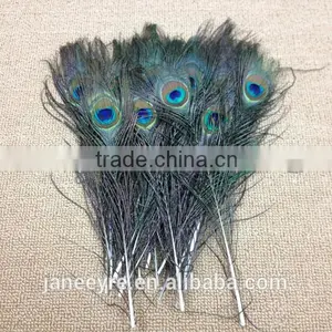 Wholesale 10-12 Inch 25-30cm Dyed Peacock Eye Feathers for Drama Props thumbnail-3