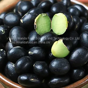 Black Bean/Black Soya Beans thumbnail-1