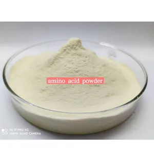 Amino Acid Powder 90% Yellow Powder Total Nitrogen 13% Free Amino Acid 20-40% Raw Material thumbnail-3