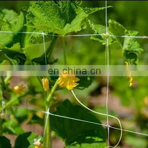 White PP Extruded Heavy Duty Trellis Netting 6 Inch Squares thumbnail-1