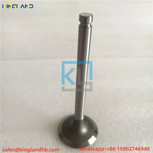 Engine Parts 1004 Valve 3142L081&3142D051 Fit for Perkins thumbnail-2