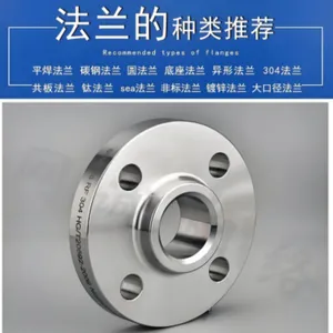 Carbon Steel, Stainless Steel, Alloy Steel, European Standard, Japanese Standard, American Standard, Special-shaped Flat Welded Flange With Neck thumbnail-1