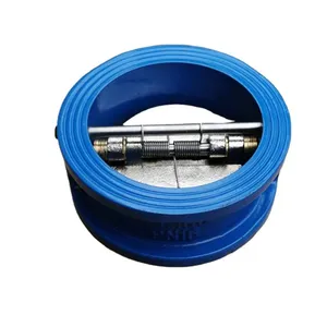 PN16 DN100 Cast Iron GGG50 Double Disc Door Wafer Type Dual Plate Check Valve One Way Check Valve thumbnail-1