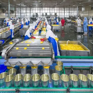 Standard Canned Baby Corn Process Line /produce Machines/plants2 thumbnail-2