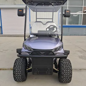Latest Private - Customized Electric Golf Carts, Sourced From the Original Manufacturer for Export and Foreign Trade thumbnail-1
