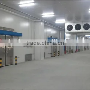 Dragon Fruit Refrigerating Room With Different Temperature thumbnail-4