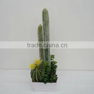 Artificial Succulent Plant Selling Infoor Artificial Flowering Cactus Plants thumbnail-1