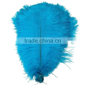 Wholesale New Style Feather, Feather Ostrich Plumes, Different Colours Carnival Ostrich Feathers for Party Decorations thumbnail-5