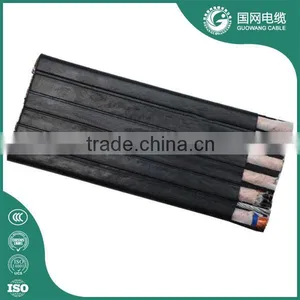 450/750v Copper Flat Power Cable thumbnail-1