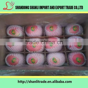 100/113/125# Fresh Organic Fruits Red Fuji Apples Fresh Fuji Wholesale Apples thumbnail-5