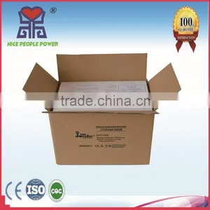Accept LC / TT Payment for Lead Acid Battery 12V24AH Nice People Power Battery thumbnail-6