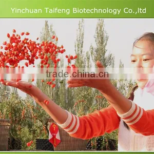 Great Dried Fruit Goji Berry thumbnail-3