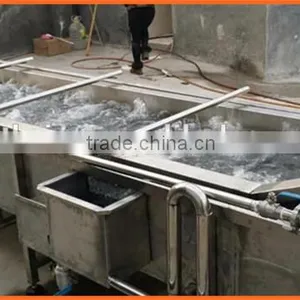 Zhengzhou Thrive Brand Vegetable Carrot Process Machine/potato Washing Machine Quality Choice thumbnail-6