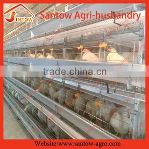 Stable Steel Structure Chicken Egg Layer Cage Automated Battery Cages for Chickens thumbnail-1