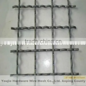 SS Crimped Wire Mesh (20 Years Factory) thumbnail-1