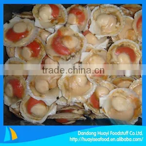 Frozen 8-10cm Scallop thumbnail-1