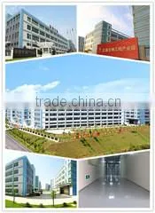 Guangdong Authenmole Biotech Inc. company overview - view 1 thumbnail