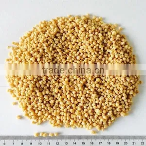 Soy Protein Powder Textured thumbnail-1