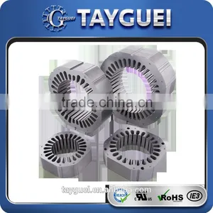 30 Years Experience OEM Stator Rotor Stamping Japan ac Servo Motor thumbnail-2