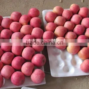 Grade AA Juicy,sweet Red Fuji Apple thumbnail-3