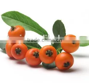 High Quality Pure Natural Improve Immunity Seabuckthorn Fruit Oil Healthcare Medical CQ2 Super Critical Extract thumbnail-2