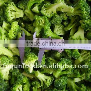 IQF Broccoli, Frozen Broccoli thumbnail-1
