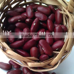 Dark Red Kidney Bean( British Type, Heilongjiang Origin.hps) thumbnail-1