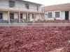 Supply Chilli thumbnail-1