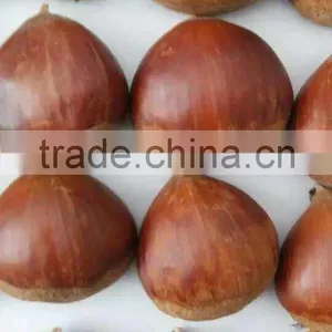 Organic Water Chestnut Best Quality thumbnail-2