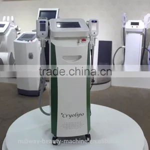 50 / 60Hz 2 Big Size Kryolipolyse 3.5