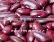 New Crop Thailand Red Kidney Beans - Long Shape British 190-200 Count thumbnail-1