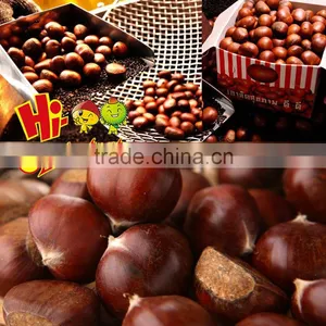 New Crop Fresh Chestnut Wholesale Price thumbnail-5