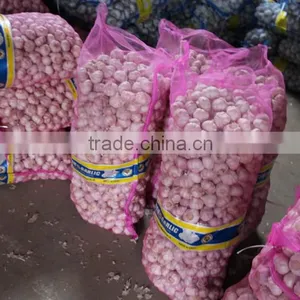 China Natural Fresh Garlic Price From Cold Storage thumbnail-4