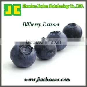Supply Bilberry P.E. With Anthocyanidin 25%, High Quality & In Stock thumbnail-1
